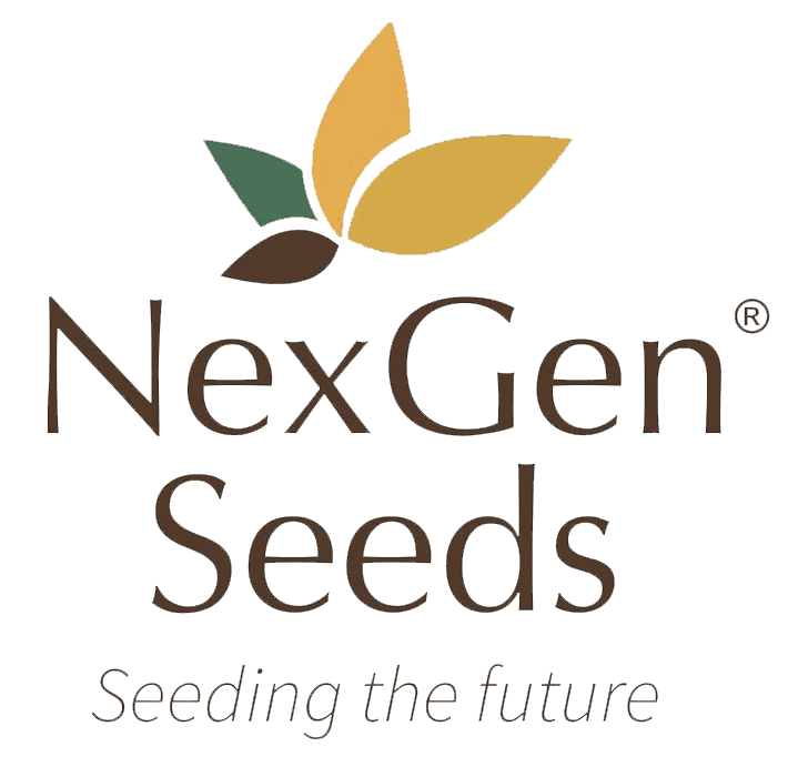 NexGenSeeds_LogoLG NexGenSeeds_Logo